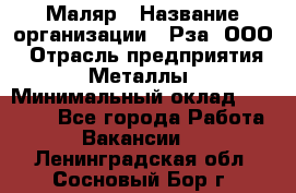 Маляр › Название организации ­ Рза, ООО › Отрасль предприятия ­ Металлы › Минимальный оклад ­ 40 000 - Все города Работа » Вакансии   . Ленинградская обл.,Сосновый Бор г.